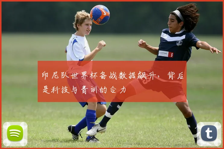 印尼队世界杯备战数据飙升,背后是科技与青训的合力