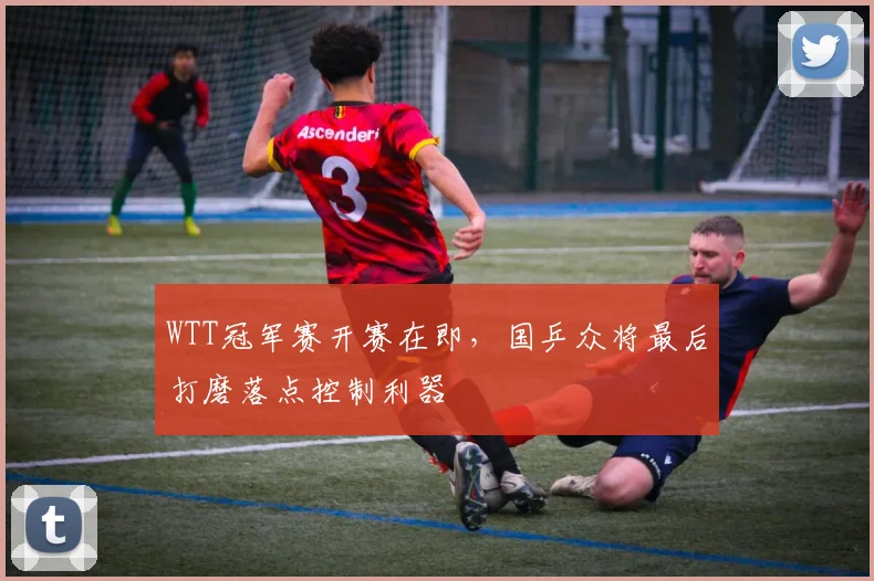 WTT冠军赛开赛在即,国乒众将最后打磨落点控制利器